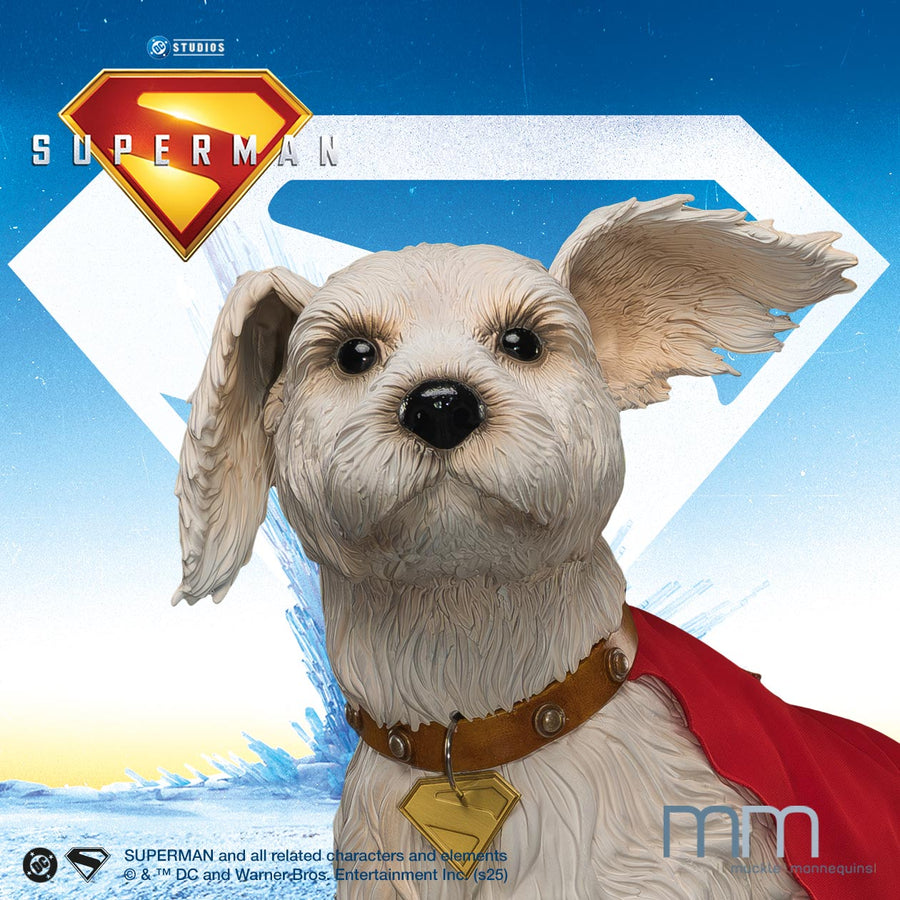 KRYPTO  | SUPERMAN 2025