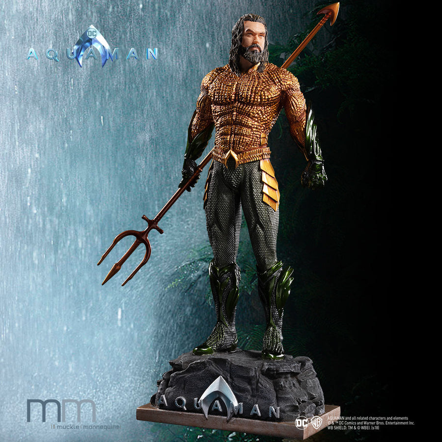 Mafex Aquaman Movie Figure Body w/ DC Collectables Aquaman Head :  r/ActionFigures