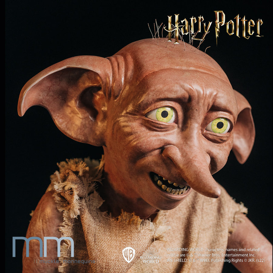 DOBBY 3 | HARRY POTTER