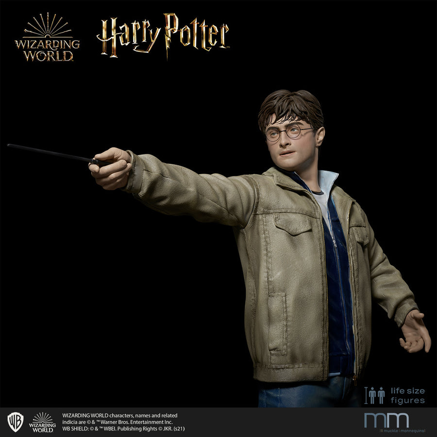 Harry Potter Originalgröße in Nahansicht ab der Hüfte