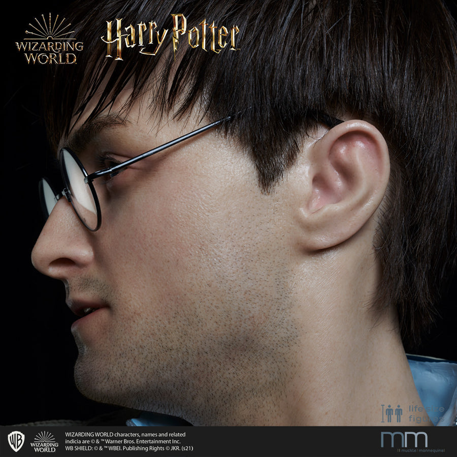 HARRY POTTER Silicone head