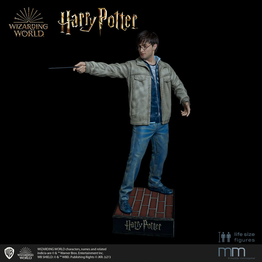 HARRY POTTER Silicone head