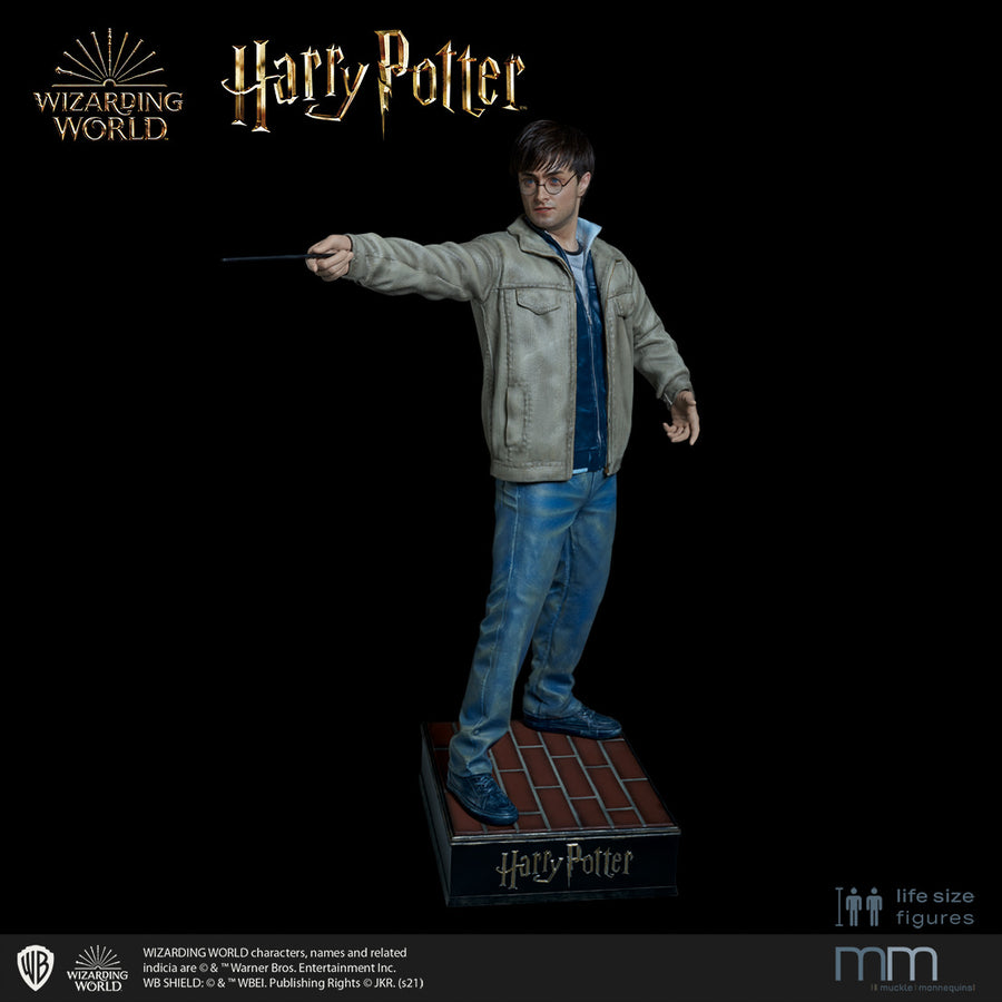 HARRY POTTER Silicone head
