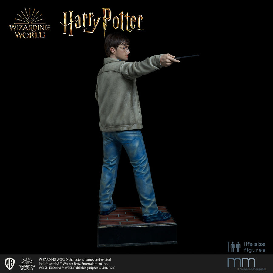 HARRY POTTER Silicone head