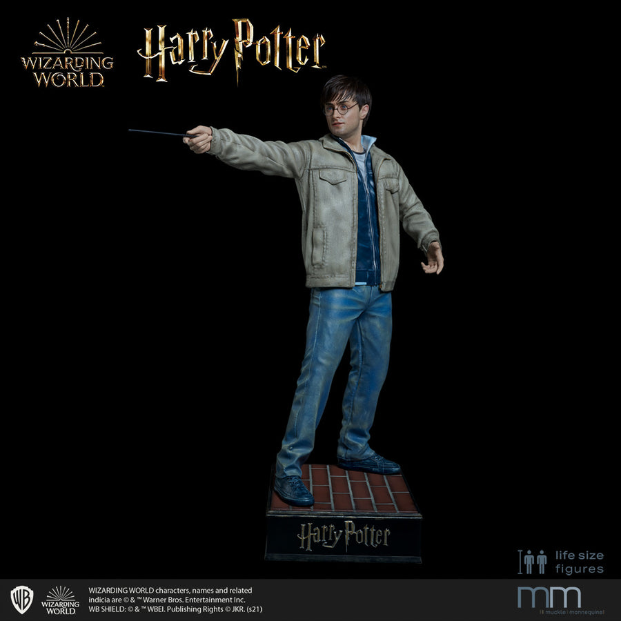 HARRY POTTER Silicone head