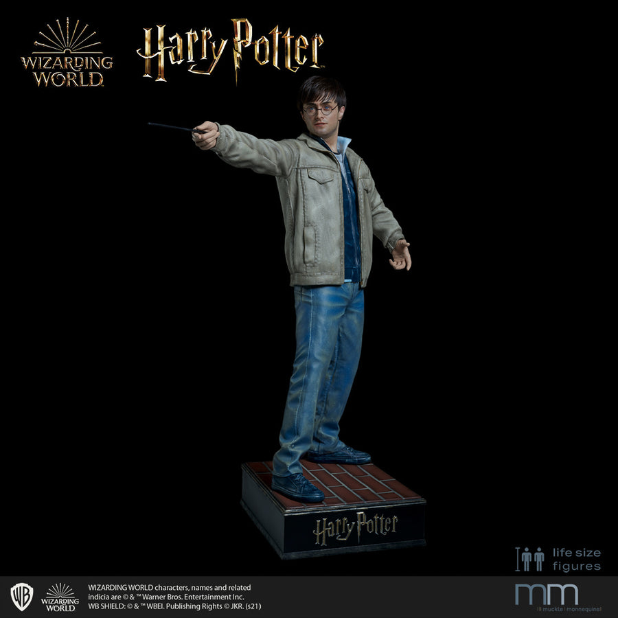 HARRY POTTER Silicone head