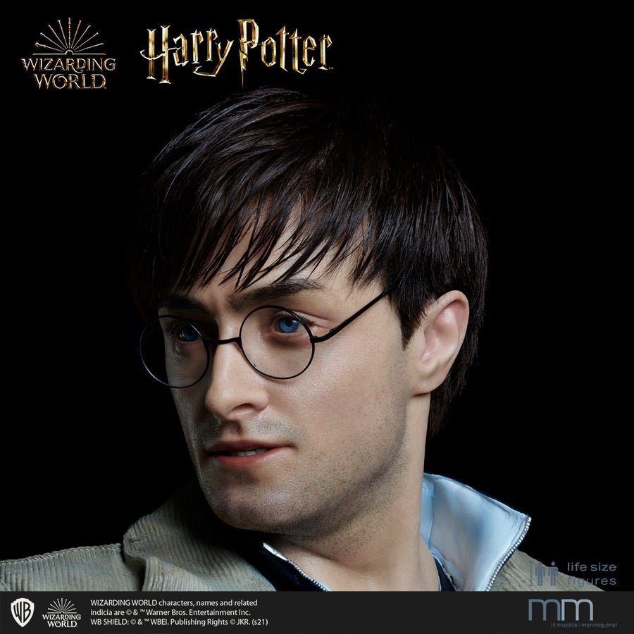 HARRY POTTER Silicone head