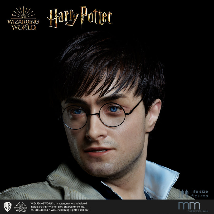HARRY POTTER Silicone head