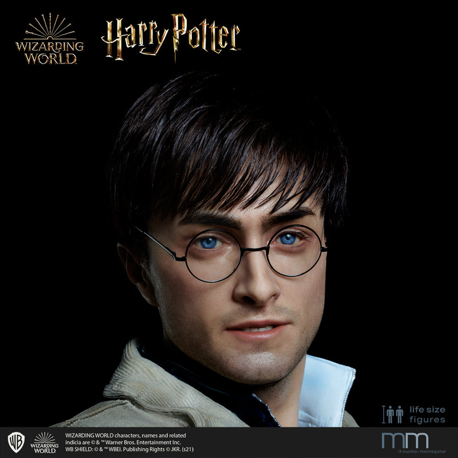 HARRY POTTER Silicone head