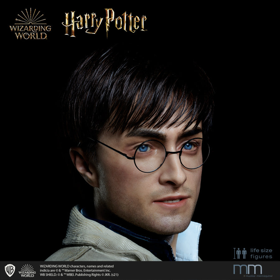 HARRY POTTER Silicone head