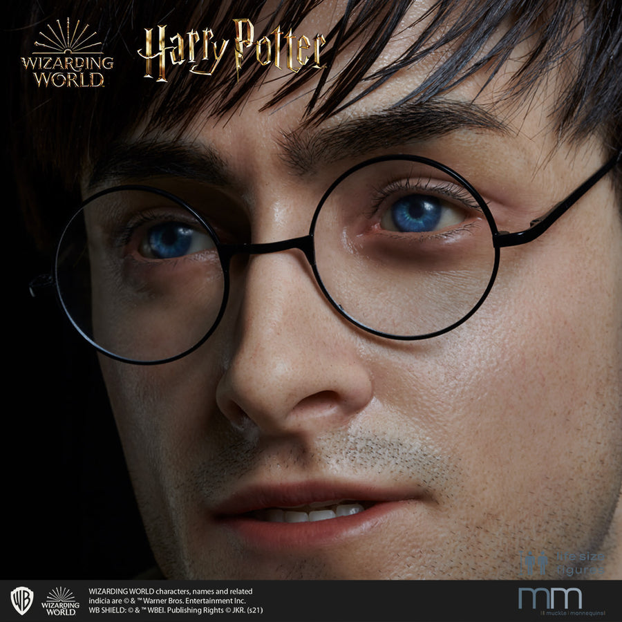 HARRY POTTER Silicone head