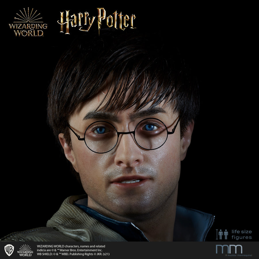 HARRY POTTER Silicone head