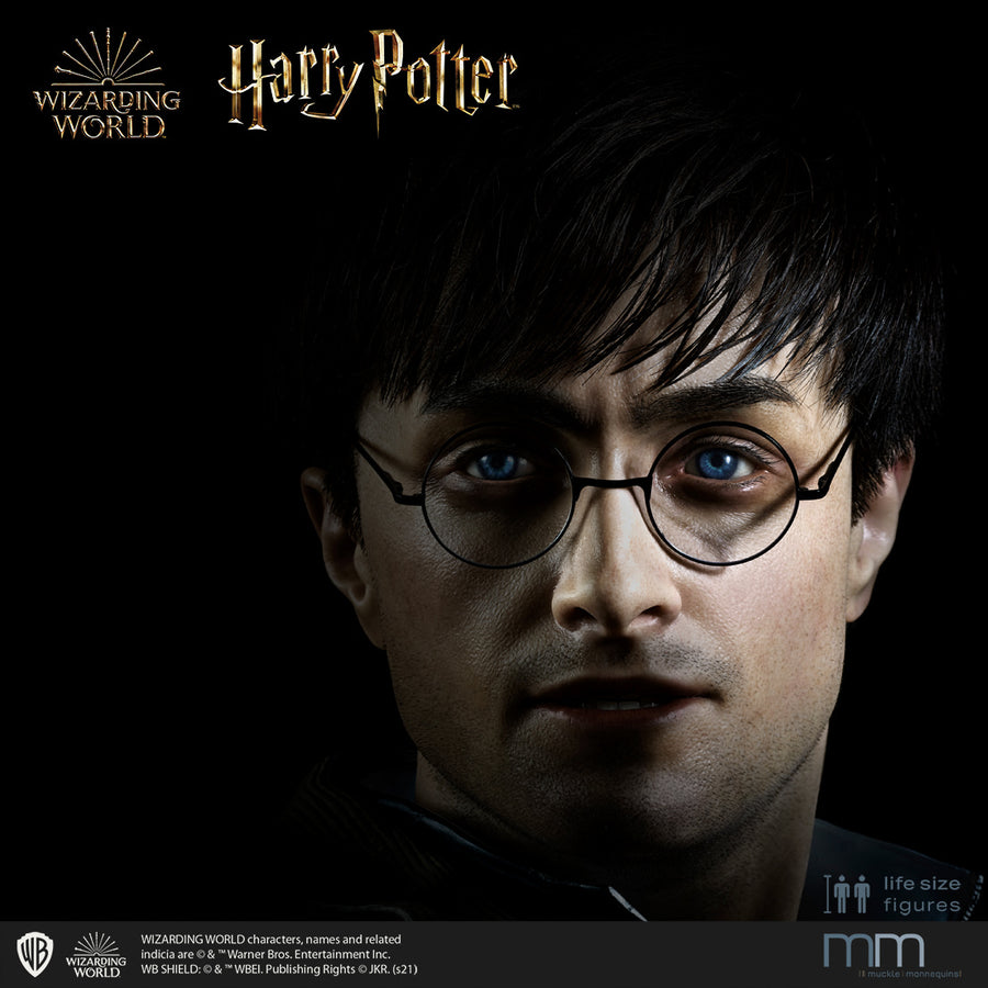 HARRY POTTER Silicone head