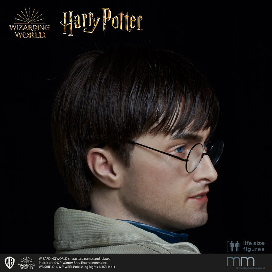 HARRY POTTER Silicone head