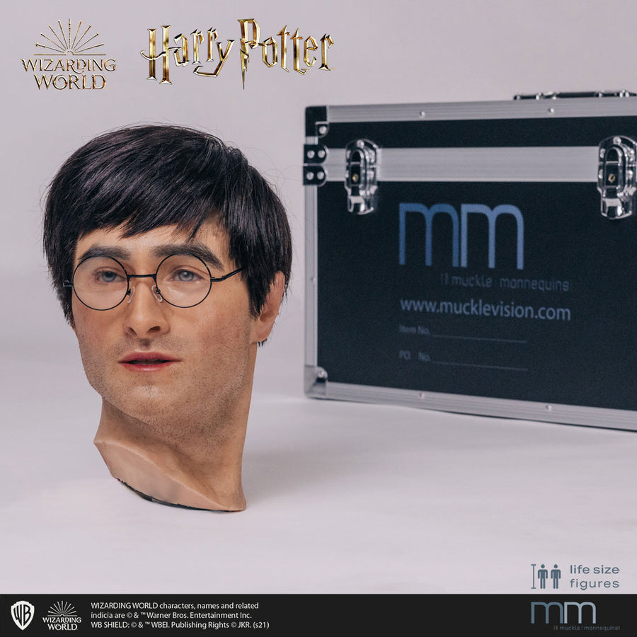 HARRY POTTER Silicone head