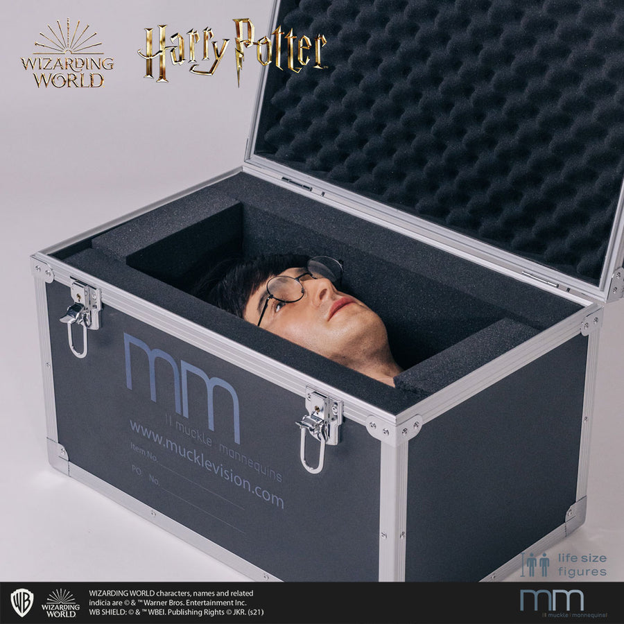 HARRY POTTER Silicone head